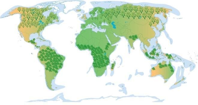 Organ and Earth system mapping — source visual 5