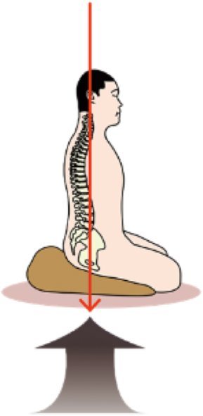 Daily Earth–Body Reset practice — source visual 23