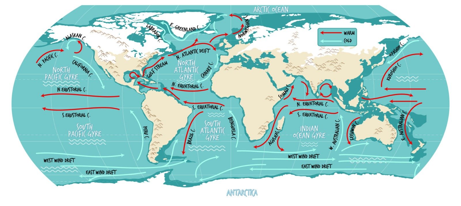 Organ and Earth system mapping — source visual 4